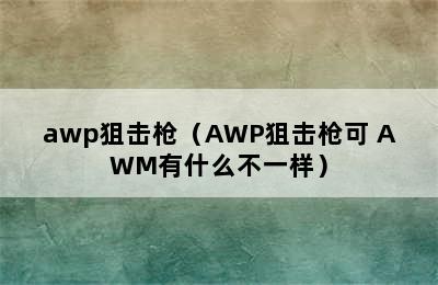 awp狙击枪（AWP狙击枪可 AWM有什么不一样）